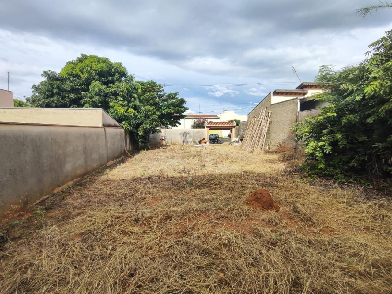 Comércio - Nova São João