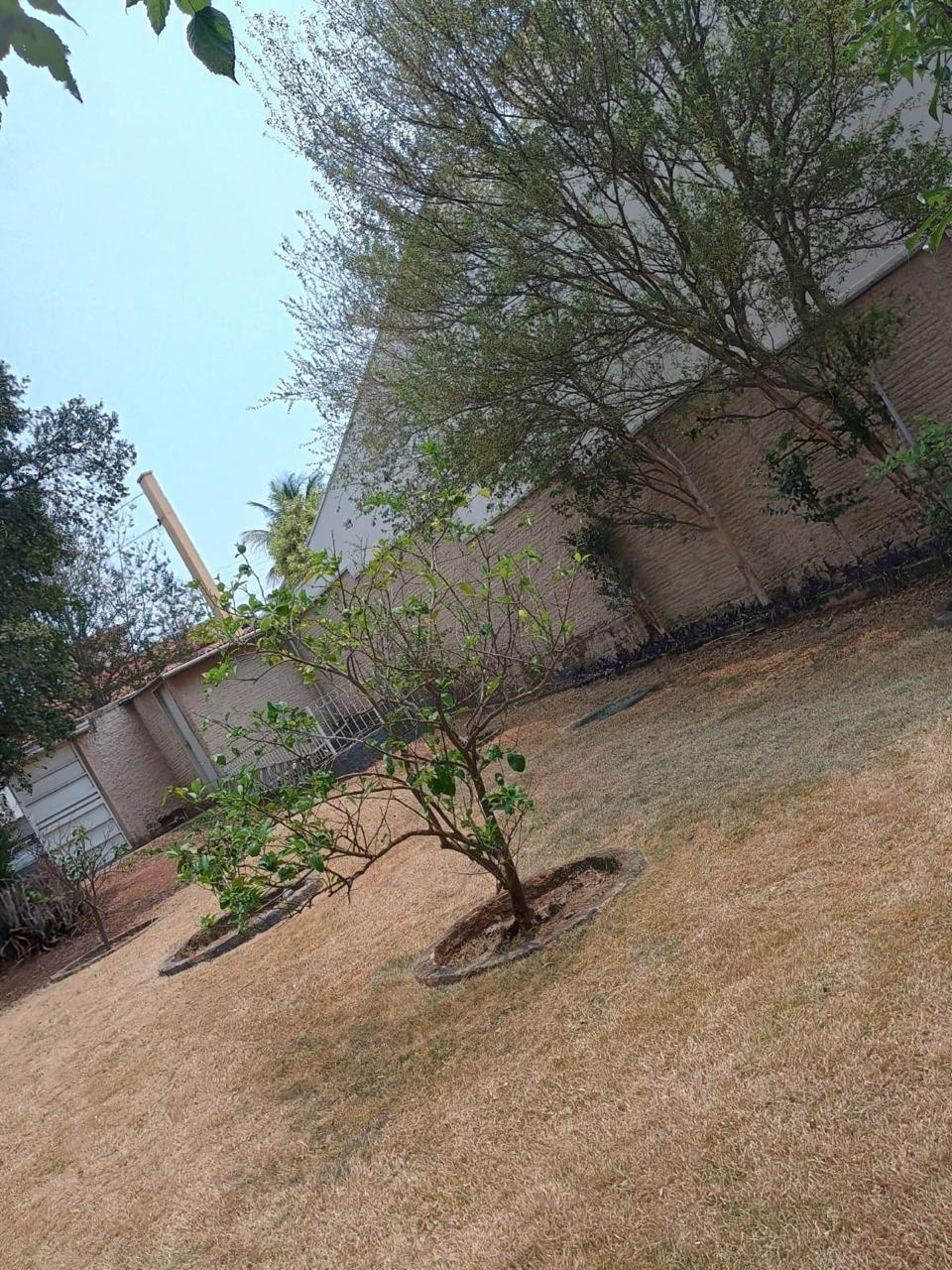 Terreno - Nova São João