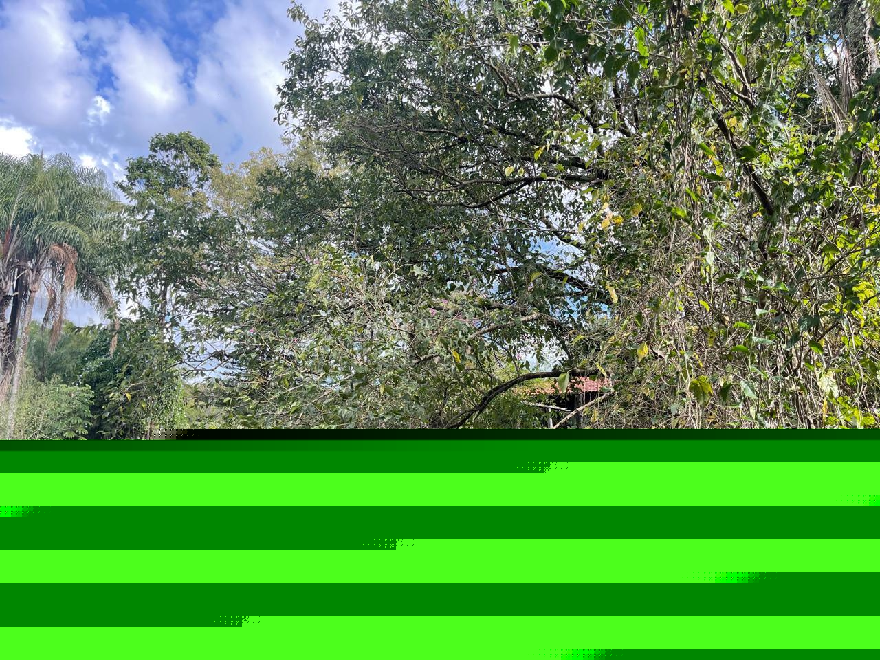 SIV0068