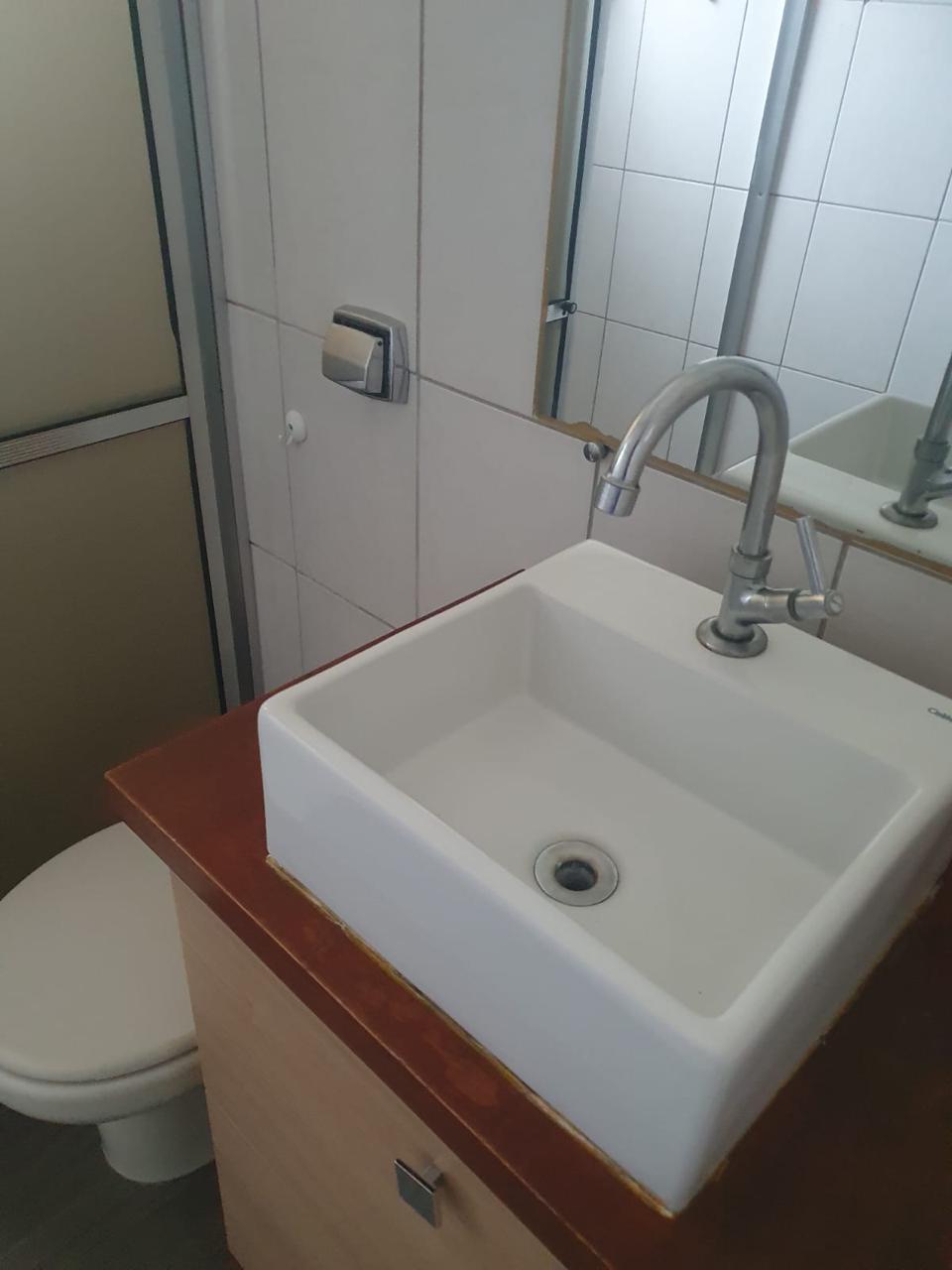 APV0466